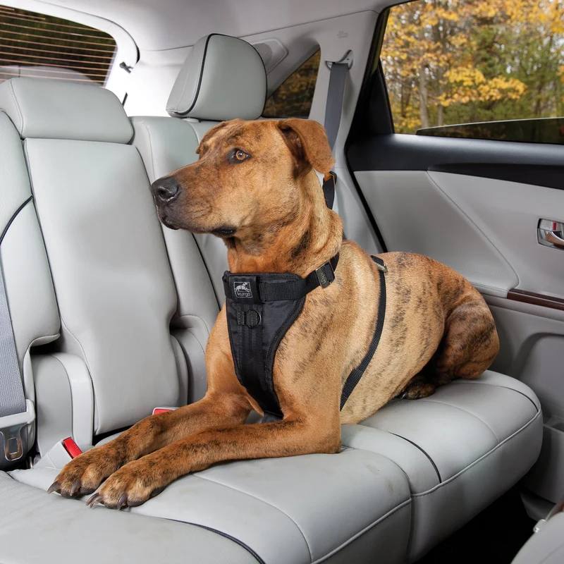 Kurgo Tru-Fit Hundegeschirr – Sicheres Auto-Sicherheitsgeschirr mit Crashtest-Zertifizierung