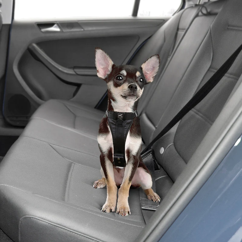 Kurgo Tru-Fit Hundegeschirr – Sicheres Auto-Sicherheitsgeschirr mit Crashtest-Zertifizierung