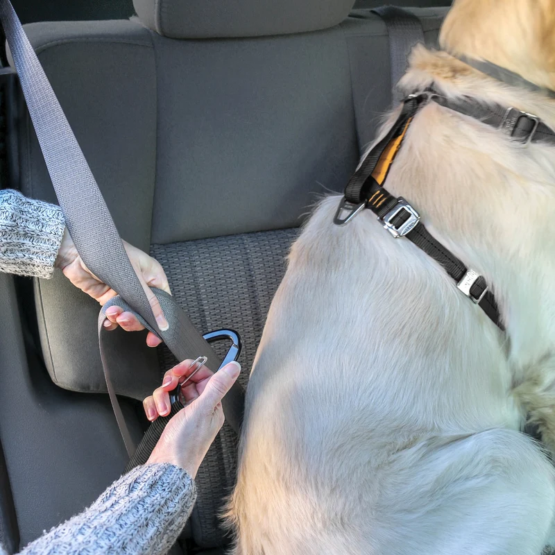 Kurgo Tru-Fit Hundegeschirr – Sicheres Auto-Sicherheitsgeschirr mit Crashtest-Zertifizierung