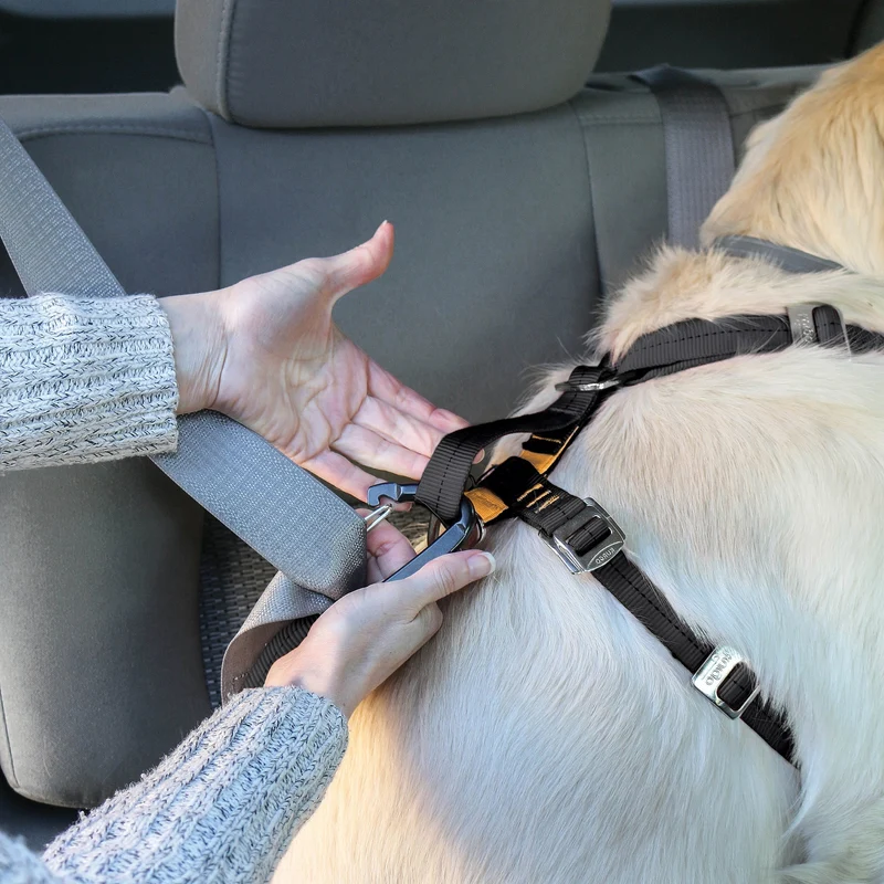 Kurgo Tru-Fit Hundegeschirr – Sicheres Auto-Sicherheitsgeschirr mit Crashtest-Zertifizierung