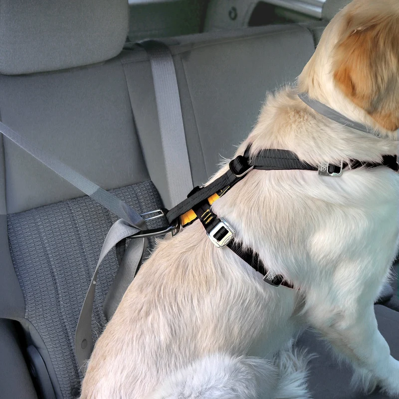 Kurgo Tru-Fit Hundegeschirr – Sicheres Auto-Sicherheitsgeschirr mit Crashtest-Zertifizierung
