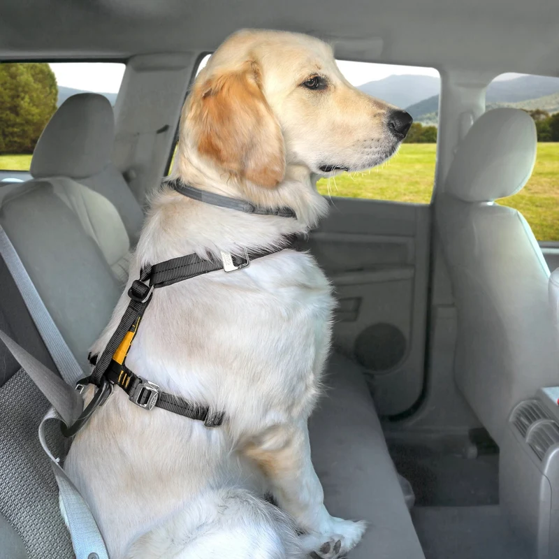 Kurgo Tru-Fit Hundegeschirr – Sicheres Auto-Sicherheitsgeschirr mit Crashtest-Zertifizierung
