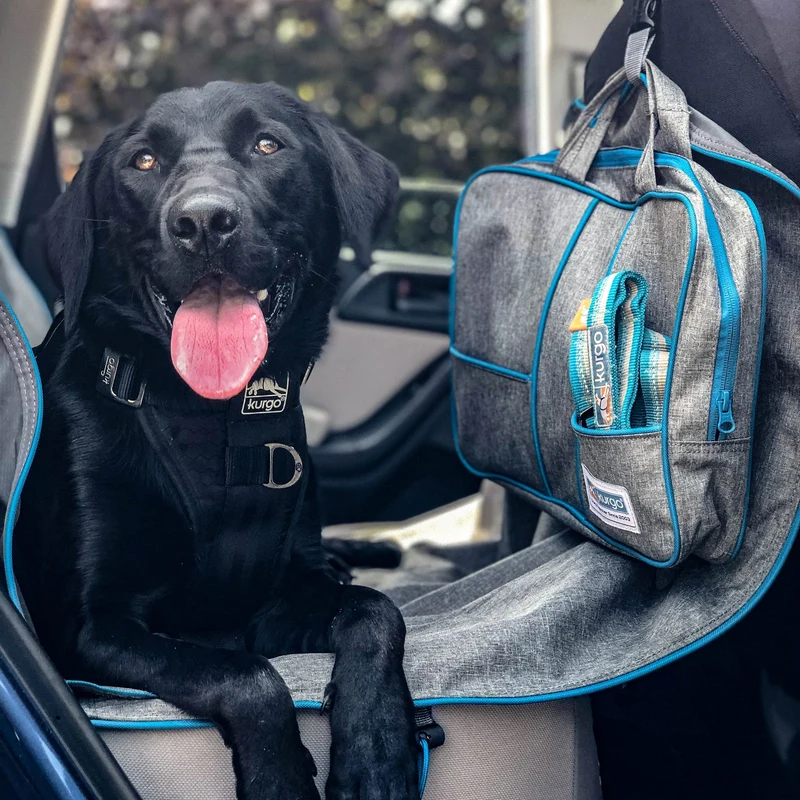 Kurgo Tru-Fit Hundegeschirr – Sicheres Auto-Sicherheitsgeschirr mit Crashtest-Zertifizierung