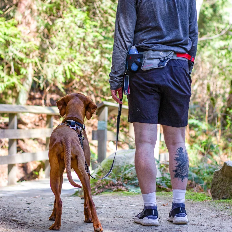 Kurgo Tru-Fit Hundegeschirr – Sicheres Auto-Sicherheitsgeschirr mit Crashtest-Zertifizierung