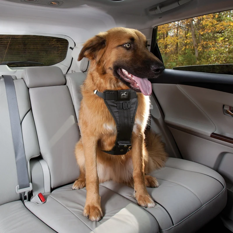 Kurgo Tru-Fit Hundegeschirr – Sicheres Auto-Sicherheitsgeschirr mit Crashtest-Zertifizierung
