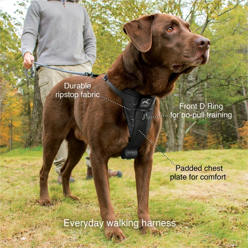 Kurgo Tru-Fit Hundegeschirr – Sicheres Auto-Sicherheitsgeschirr mit Crashtest-Zertifizierung