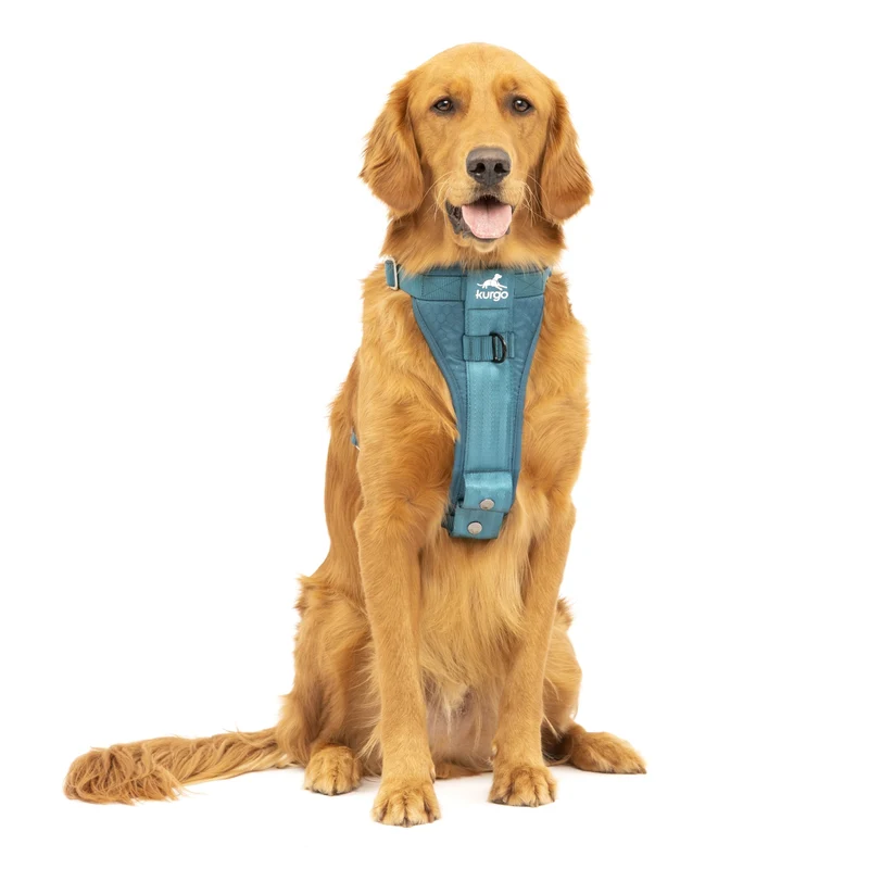 Kurgo Tru-Fit Hundegeschirr – Sicheres Auto-Sicherheitsgeschirr mit Crashtest-Zertifizierung