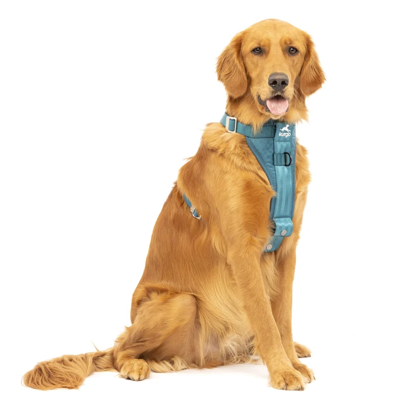 Kurgo Tru-Fit Hundegeschirr – Sicheres Auto-Sicherheitsgeschirr mit Crashtest-Zertifizierung