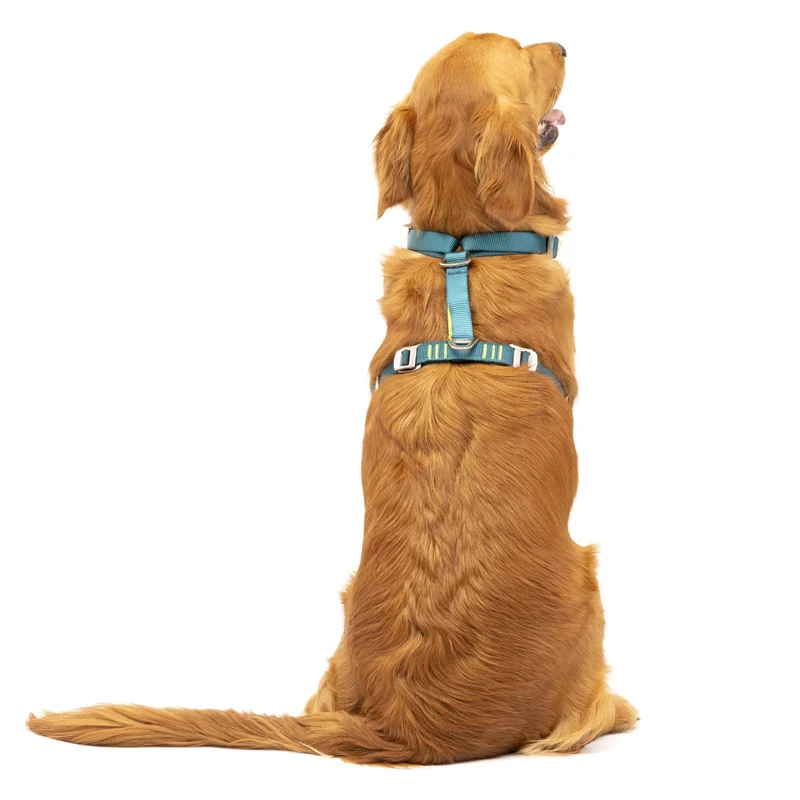 Kurgo Tru-Fit Hundegeschirr – Sicheres Auto-Sicherheitsgeschirr mit Crashtest-Zertifizierung