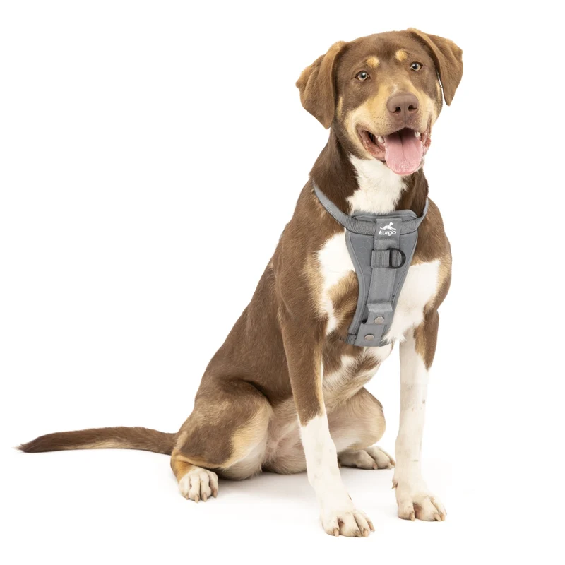 Kurgo Tru-Fit Hundegeschirr – Sicheres Auto-Sicherheitsgeschirr mit Crashtest-Zertifizierung