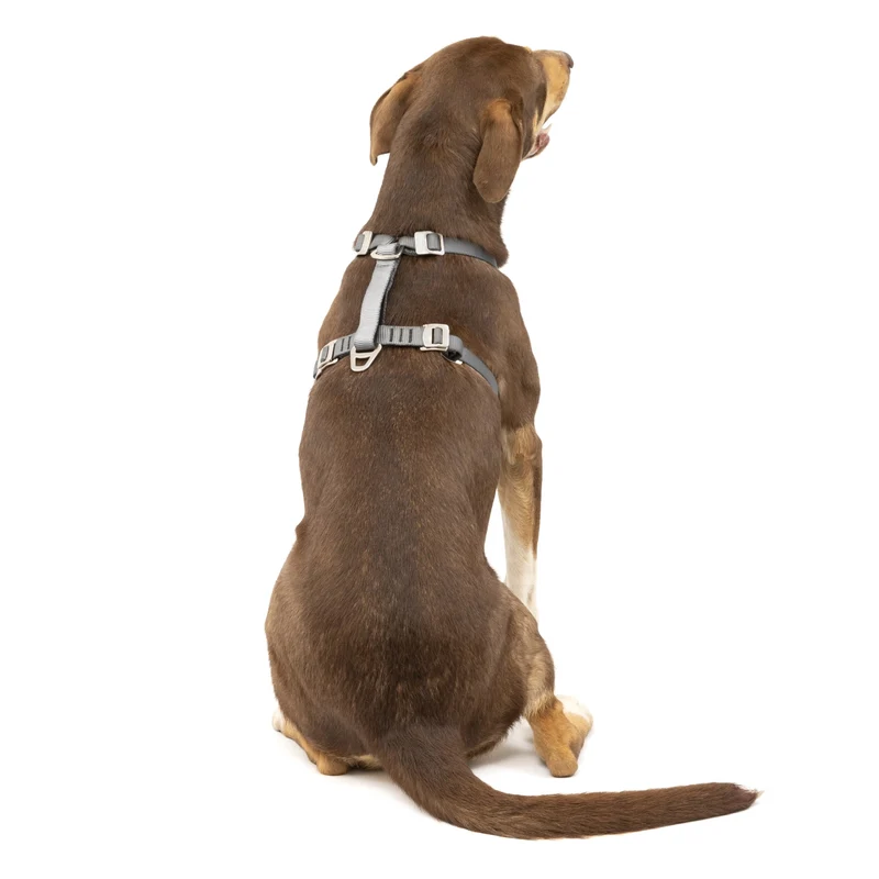 Kurgo Tru-Fit Hundegeschirr – Sicheres Auto-Sicherheitsgeschirr mit Crashtest-Zertifizierung