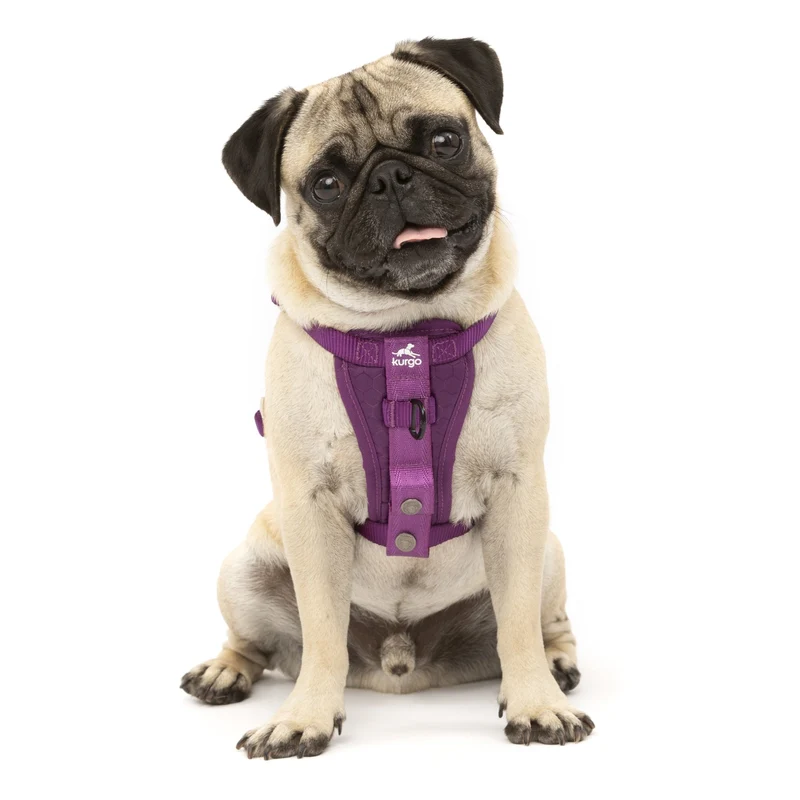 Kurgo Tru-Fit Hundegeschirr – Sicheres Auto-Sicherheitsgeschirr mit Crashtest-Zertifizierung