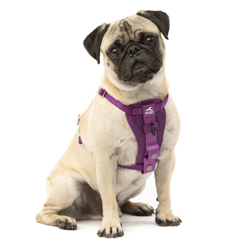 Kurgo Tru-Fit Hundegeschirr – Sicheres Auto-Sicherheitsgeschirr mit Crashtest-Zertifizierung