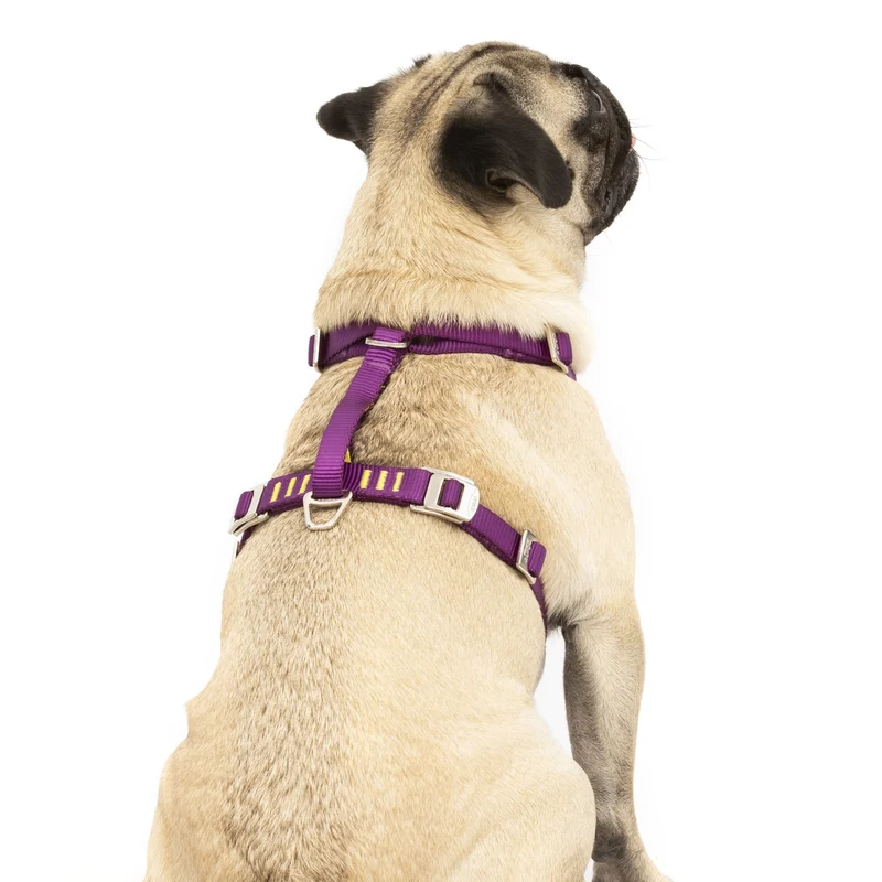 Kurgo Tru-Fit Hundegeschirr – Sicheres Auto-Sicherheitsgeschirr mit Crashtest-Zertifizierung
