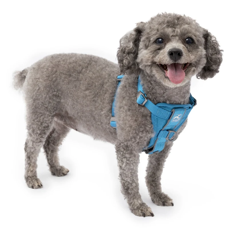 Kurgo Tru-Fit Hundegeschirr – Sicheres Auto-Sicherheitsgeschirr mit Crashtest-Zertifizierung