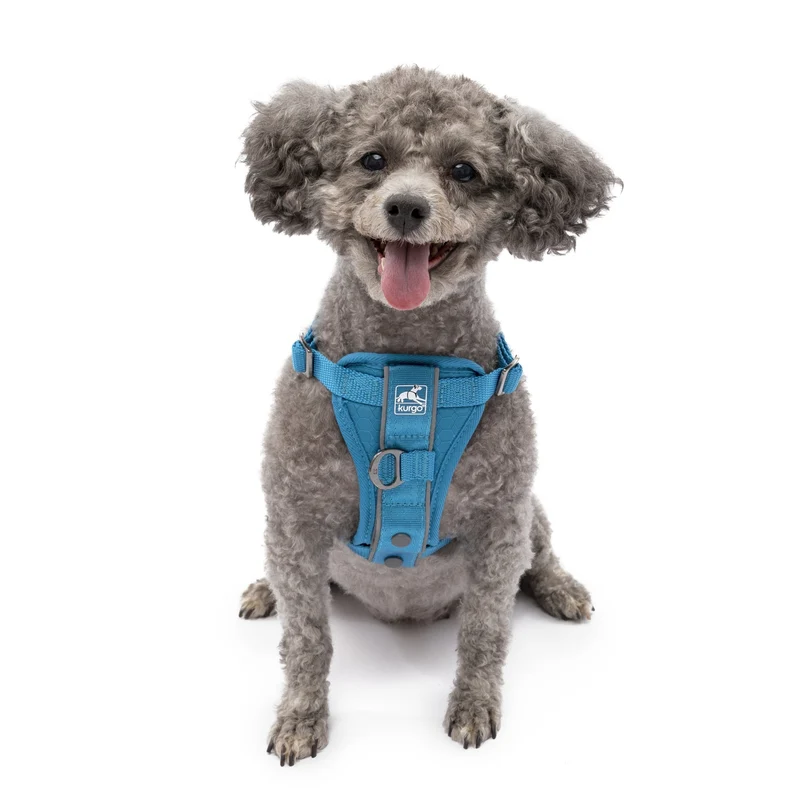 Kurgo Tru-Fit Hundegeschirr – Sicheres Auto-Sicherheitsgeschirr mit Crashtest-Zertifizierung
