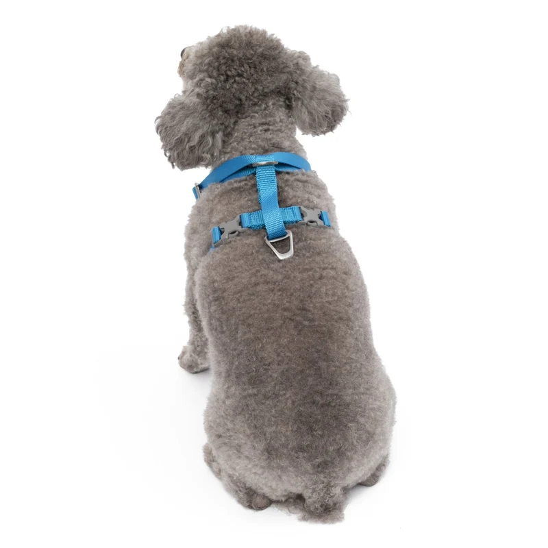 Kurgo Tru-Fit Hundegeschirr – Sicheres Auto-Sicherheitsgeschirr mit Crashtest-Zertifizierung