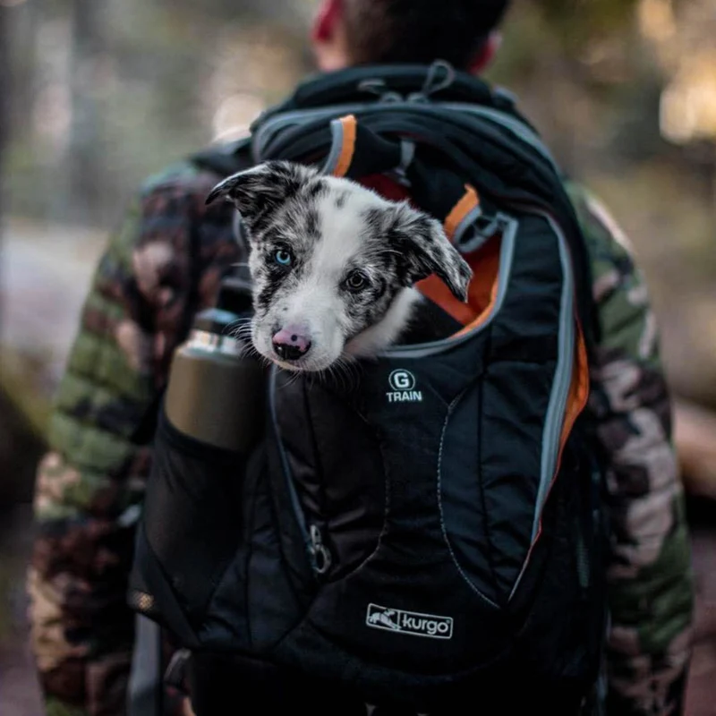 Kurgo G-Train Hunderucksack – Tragerucksack & Transporttasche für Hunde bis 11 kg