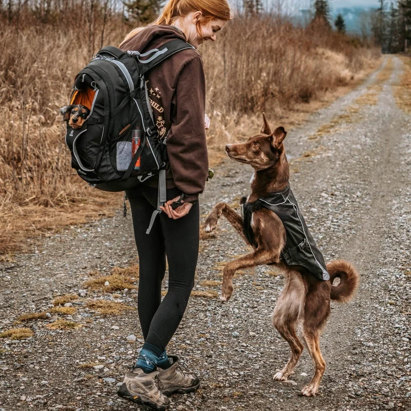 Kurgo G-Train Hunderucksack – Tragerucksack & Transporttasche für Hunde bis 11 kg
