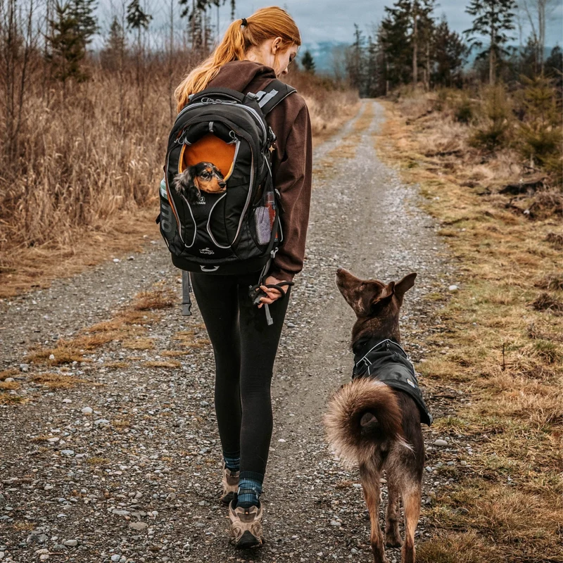 Kurgo G-Train Hunderucksack – Tragerucksack & Transporttasche für Hunde bis 11 kg