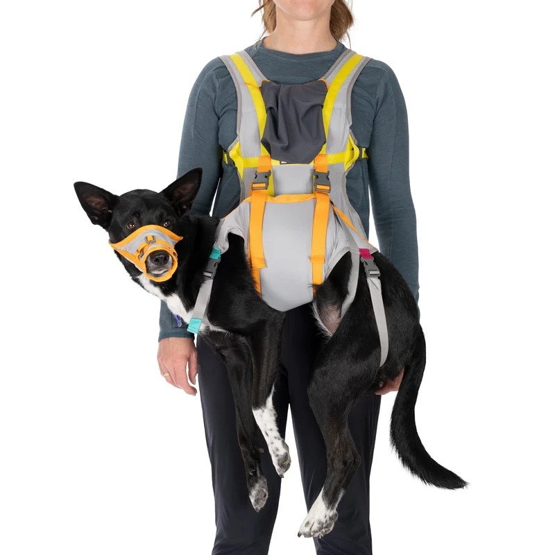 Ruffwear BackTrak Evakuierungsgeschirr – Professionelles Rettungsgeschirr für sichere Hundebergung in Notfällen, bei Verletzungen und schwierigem Gelände