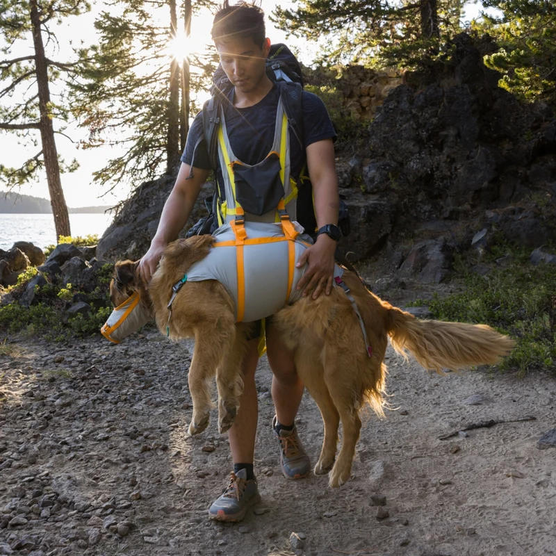 Ruffwear BackTrak Evakuierungsgeschirr – Professionelles Rettungsgeschirr für sichere Hundebergung in Notfällen, bei Verletzungen und schwierigem Gelände