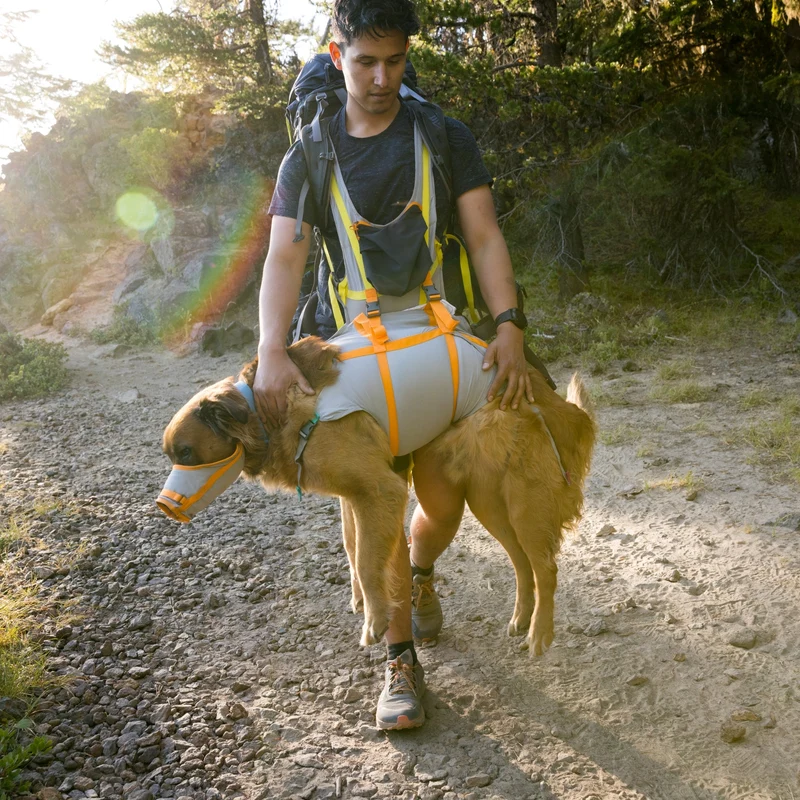 Ruffwear BackTrak Evakuierungsgeschirr – Professionelles Rettungsgeschirr für sichere Hundebergung in Notfällen, bei Verletzungen und schwierigem Gelände