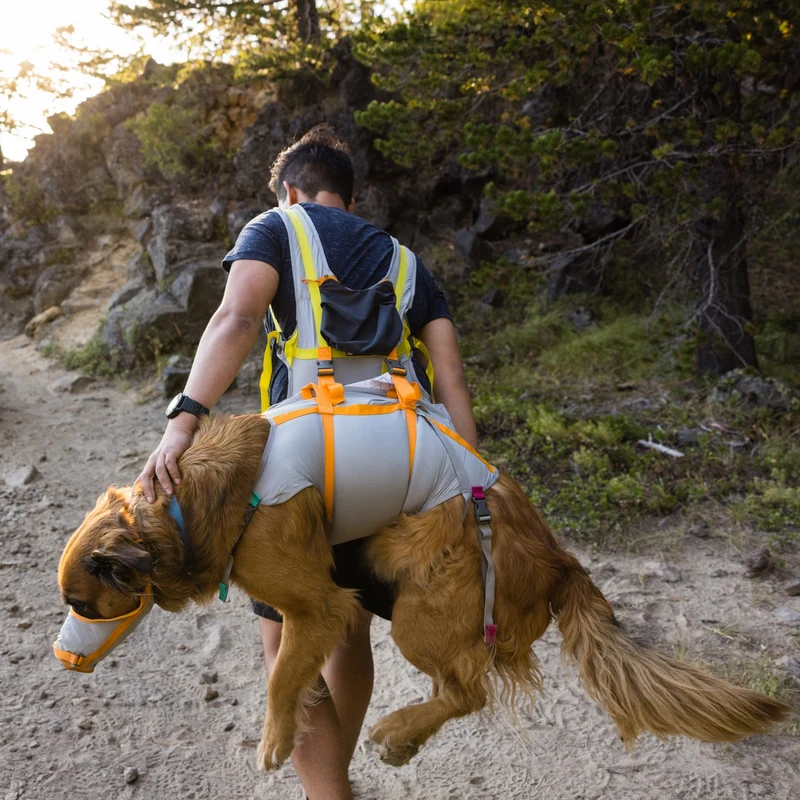 Ruffwear BackTrak Evakuierungsgeschirr – Professionelles Rettungsgeschirr für sichere Hundebergung in Notfällen, bei Verletzungen und schwierigem Gelände