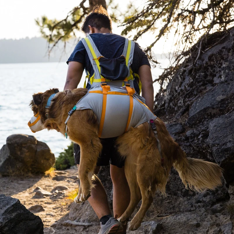 Ruffwear BackTrak Evakuierungsgeschirr – Professionelles Rettungsgeschirr für sichere Hundebergung in Notfällen, bei Verletzungen und schwierigem Gelände