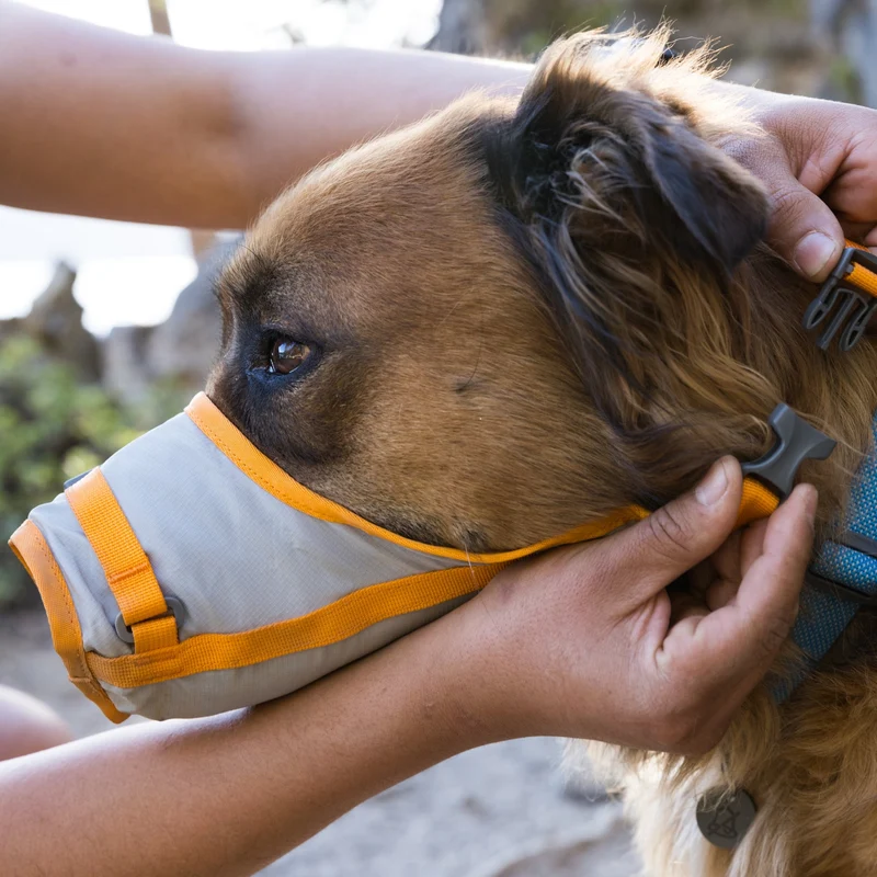 Ruffwear BackTrak Evakuierungsgeschirr – Professionelles Rettungsgeschirr für sichere Hundebergung in Notfällen, bei Verletzungen und schwierigem Gelände