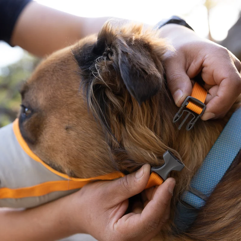 Ruffwear BackTrak Evakuierungsgeschirr – Professionelles Rettungsgeschirr für sichere Hundebergung in Notfällen, bei Verletzungen und schwierigem Gelände