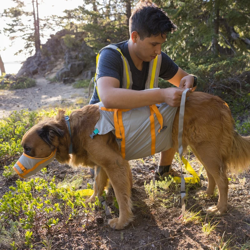 Ruffwear BackTrak Evakuierungsgeschirr – Professionelles Rettungsgeschirr für sichere Hundebergung in Notfällen, bei Verletzungen und schwierigem Gelände