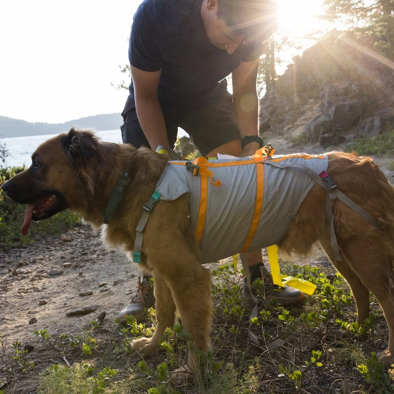 Ruffwear BackTrak Evakuierungsgeschirr – Professionelles Rettungsgeschirr für sichere Hundebergung in Notfällen, bei Verletzungen und schwierigem Gelände