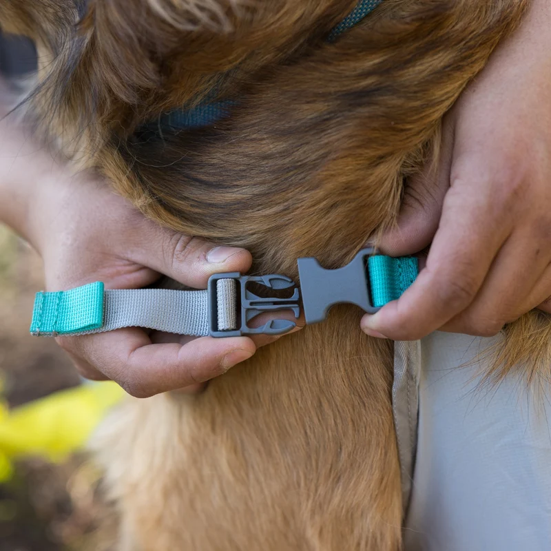 Ruffwear BackTrak Evakuierungsgeschirr – Professionelles Rettungsgeschirr für sichere Hundebergung in Notfällen, bei Verletzungen und schwierigem Gelände