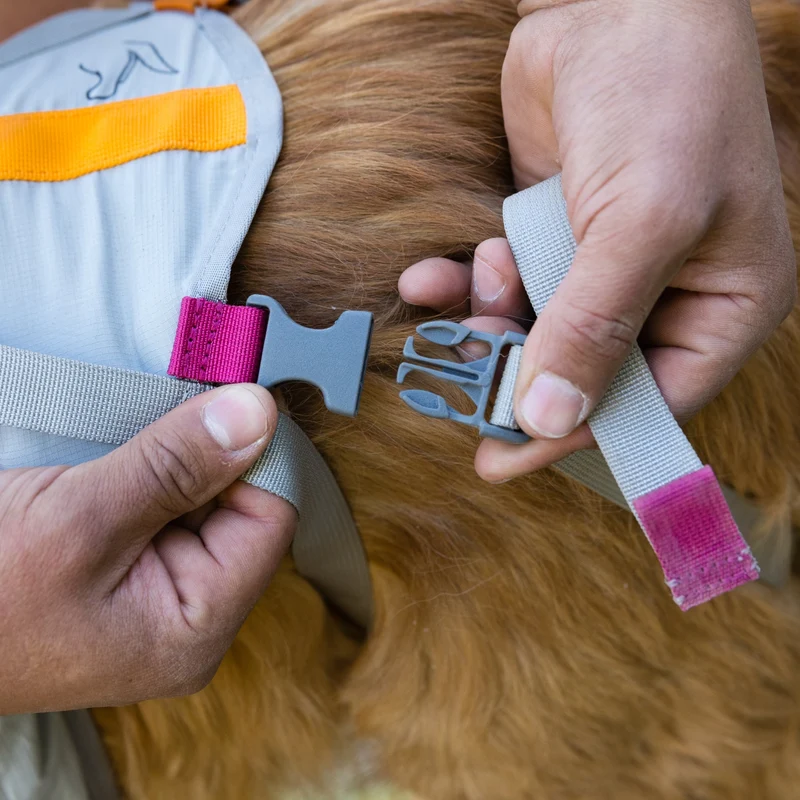 Ruffwear BackTrak Evakuierungsgeschirr – Professionelles Rettungsgeschirr für sichere Hundebergung in Notfällen, bei Verletzungen und schwierigem Gelände