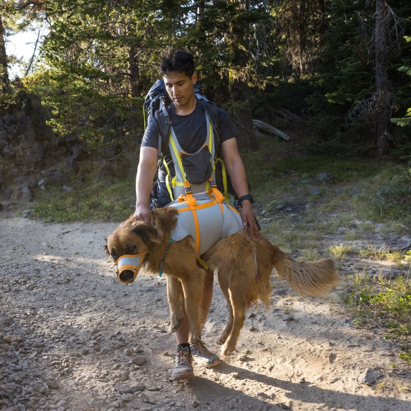 Ruffwear BackTrak Evakuierungsgeschirr – Professionelles Rettungsgeschirr für sichere Hundebergung in Notfällen, bei Verletzungen und schwierigem Gelände
