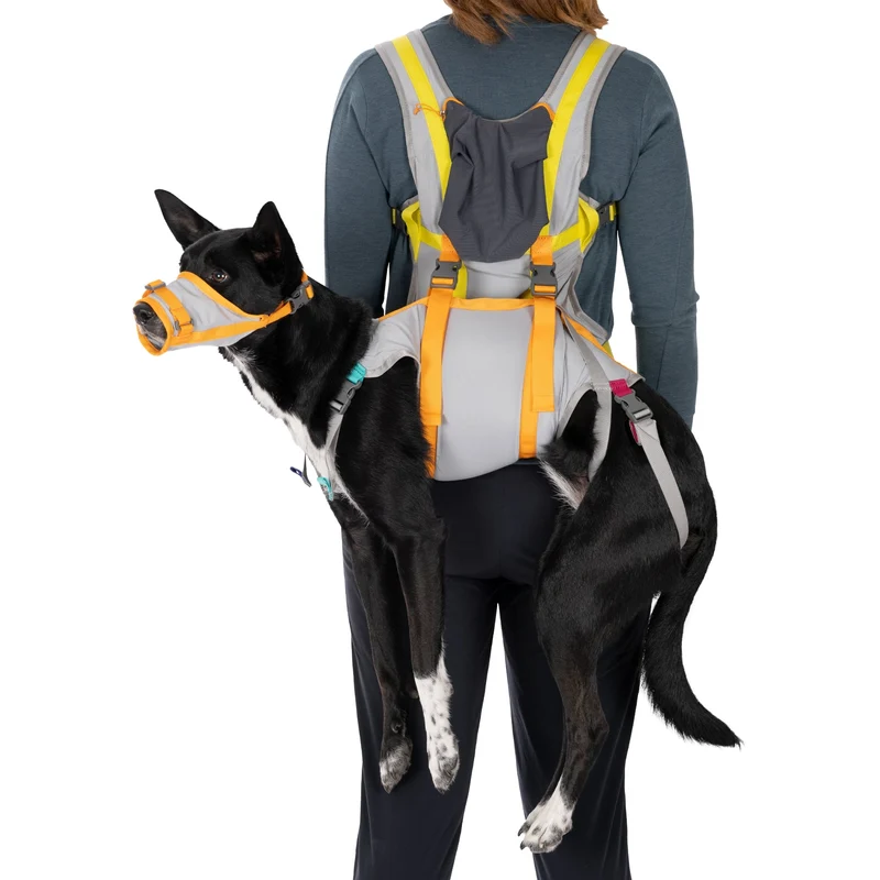 Ruffwear BackTrak Evakuierungsgeschirr – Professionelles Rettungsgeschirr für sichere Hundebergung in Notfällen, bei Verletzungen und schwierigem Gelände