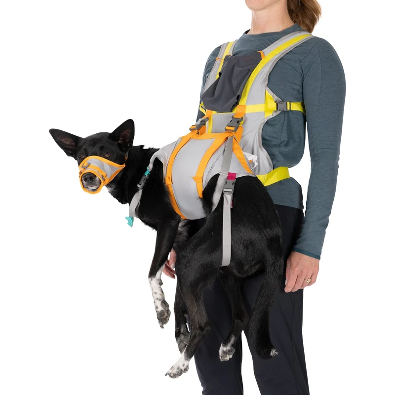 Ruffwear BackTrak Evakuierungsgeschirr – Professionelles Rettungsgeschirr für sichere Hundebergung in Notfällen, bei Verletzungen und schwierigem Gelände
