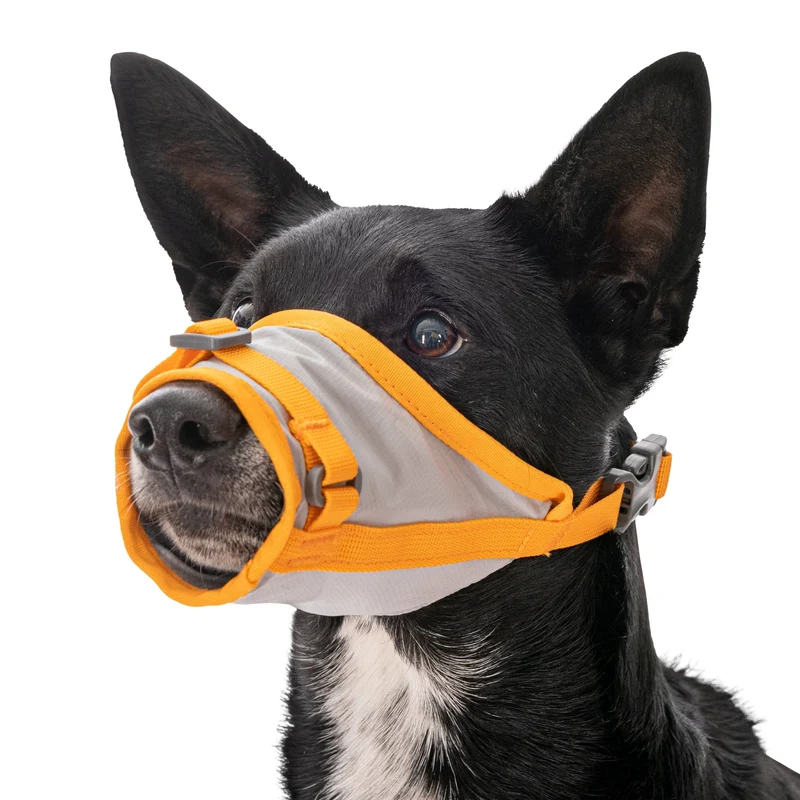 Ruffwear BackTrak Evakuierungsgeschirr – Professionelles Rettungsgeschirr für sichere Hundebergung in Notfällen, bei Verletzungen und schwierigem Gelände
