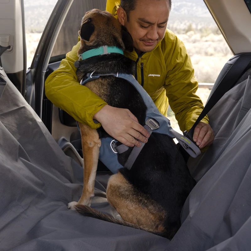 Ruffwear Load Up Harness – Crashgetestetes Auto-Sicherheitsgeschirr für entspannte & sichere Autofahrten mit deinem Hund