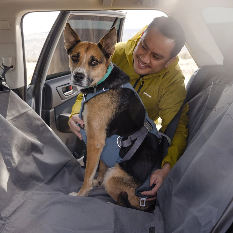Ruffwear Load Up Harness – Crashgetestetes Auto-Sicherheitsgeschirr für entspannte & sichere Autofahrten mit deinem Hund