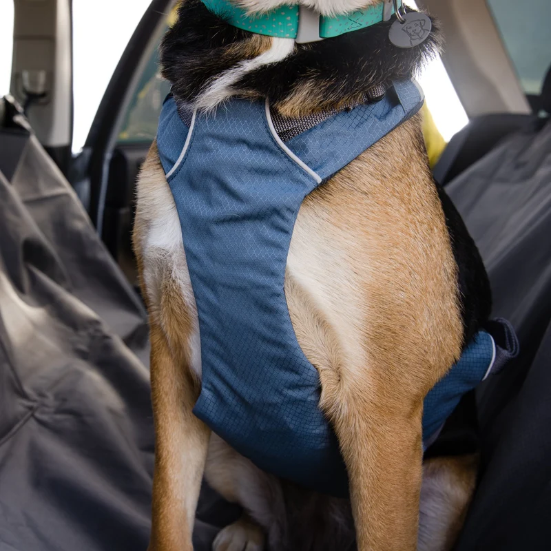 Ruffwear Load Up Harness – Crashgetestetes Auto-Sicherheitsgeschirr für entspannte & sichere Autofahrten mit deinem Hund