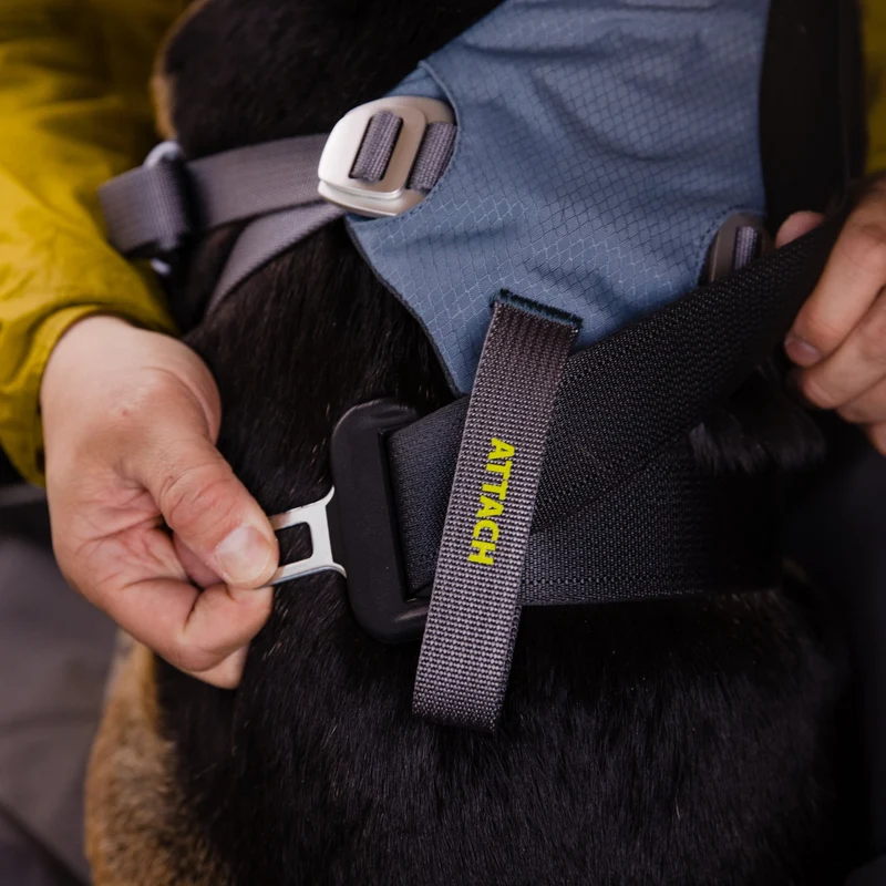 Ruffwear Load Up Harness – Crashgetestetes Auto-Sicherheitsgeschirr für entspannte & sichere Autofahrten mit deinem Hund