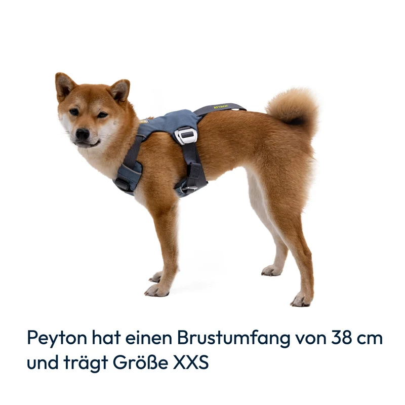 Ruffwear Load Up Harness – Crashgetestetes Auto-Sicherheitsgeschirr für entspannte & sichere Autofahrten mit deinem Hund
