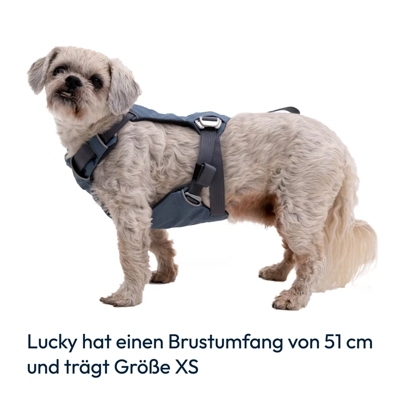 Ruffwear Load Up Harness – Crashgetestetes Auto-Sicherheitsgeschirr für entspannte & sichere Autofahrten mit deinem Hund