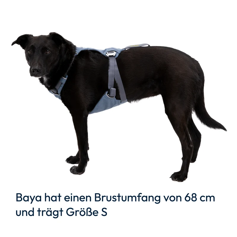 Ruffwear Load Up Harness – Crashgetestetes Auto-Sicherheitsgeschirr für entspannte & sichere Autofahrten mit deinem Hund