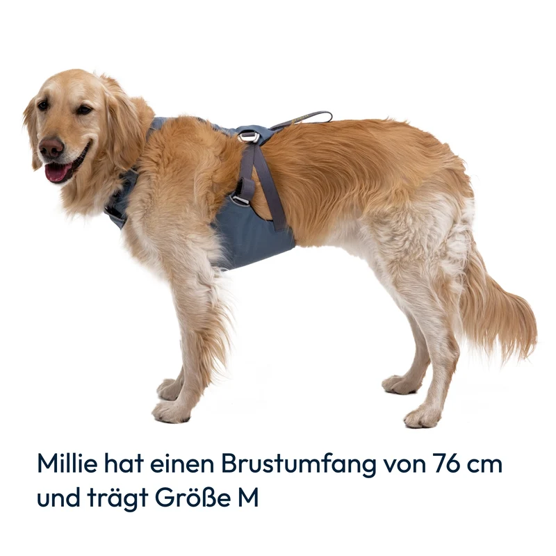 Ruffwear Load Up Harness – Crashgetestetes Auto-Sicherheitsgeschirr für entspannte & sichere Autofahrten mit deinem Hund