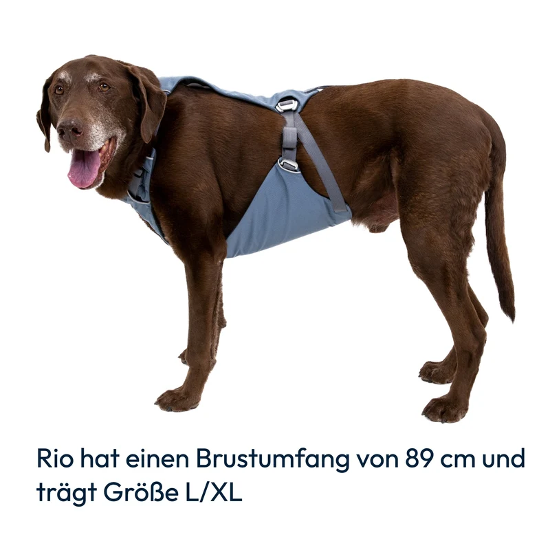 Ruffwear Load Up Harness – Crashgetestetes Auto-Sicherheitsgeschirr für entspannte & sichere Autofahrten mit deinem Hund