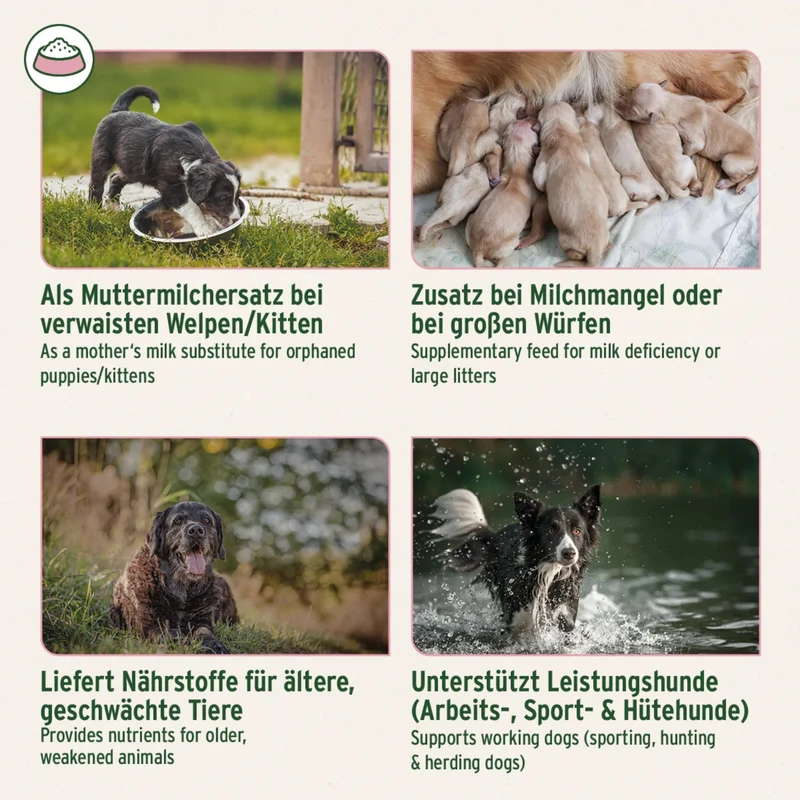 AniForte Ziegenmilch Pulver für Hunde & Katzen – Leicht Verdaulich, Stärkt Immunsystem & Ideal für Welpen, Kitten & Sensible Tiere