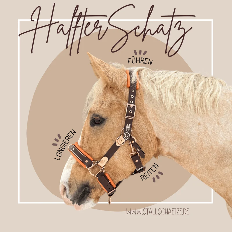 HalfterSchatz – das wandelbare Biothane-Halfter zum Führen, Longieren und Reiten